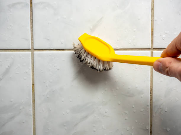 Best Mold Remediation Services  in Hartwell, GA