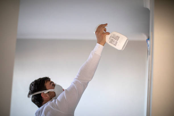 Trusted Hartwell, GA Mold Removal Experts