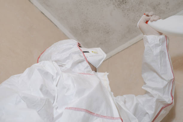Mold Removal and Inspection in Hartwell, GA